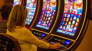 777fe game Sportsbook